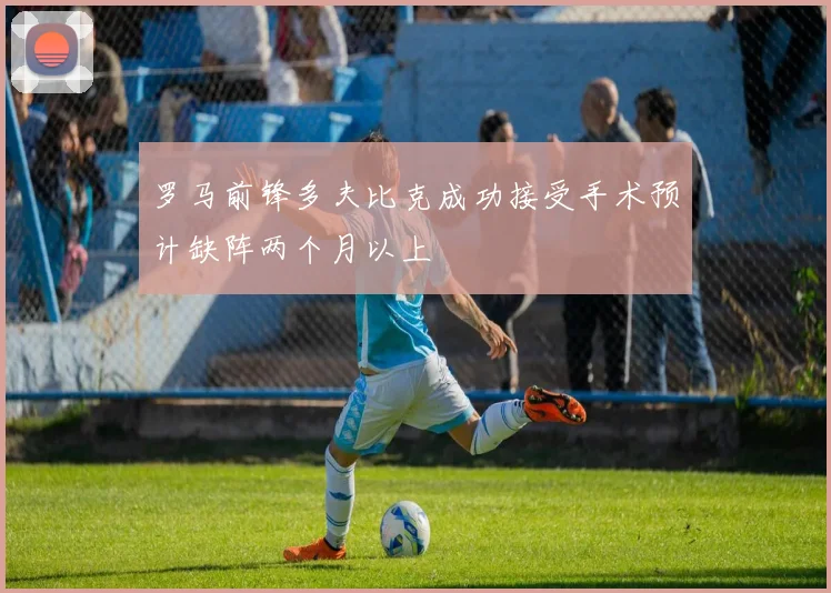 罗马前锋多夫比克成功接受手术预计缺阵两个月以上